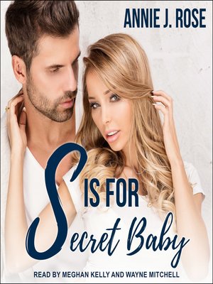 cover image of S is for Secret Baby